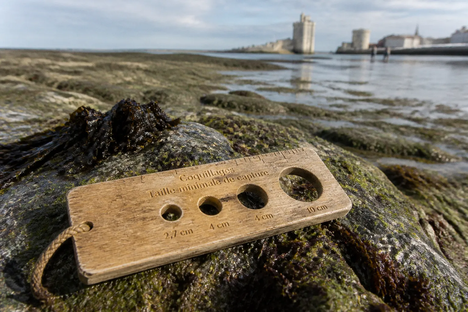 Pêche à pied durable à La Rochelle : plan d'action
